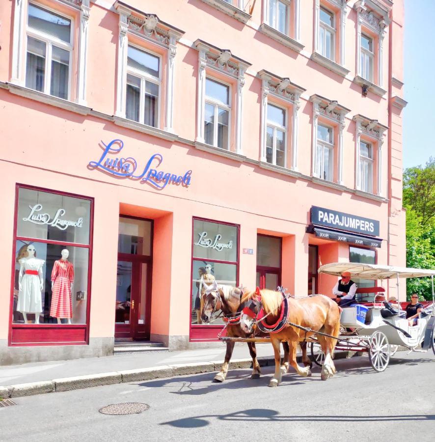 Karlsbad Family Apartment Karlovy Vary Exterior foto